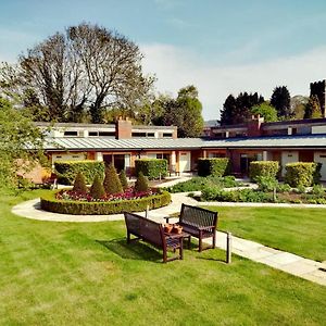 King Room Garden View